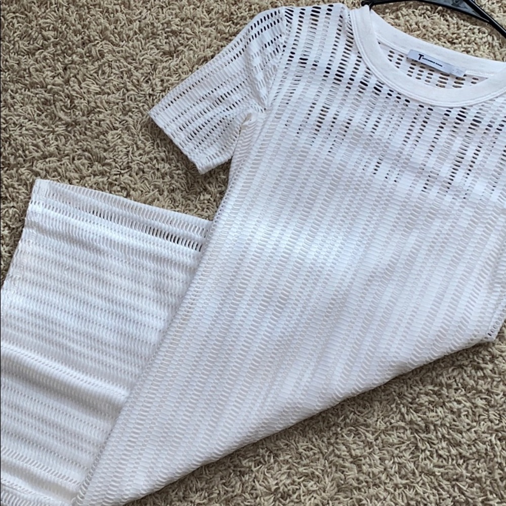 Alexander wang mesh day dress